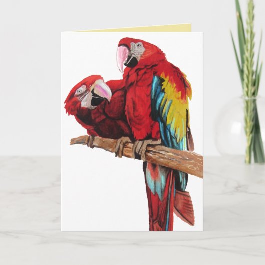 Bright Red Macaw Parrots Watercolor Geburtstagskar Karte (Vorderseite)