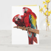 Bright Red Macaw Parrots Watercolor Geburtstagskar Karte (Gelbe Blume)