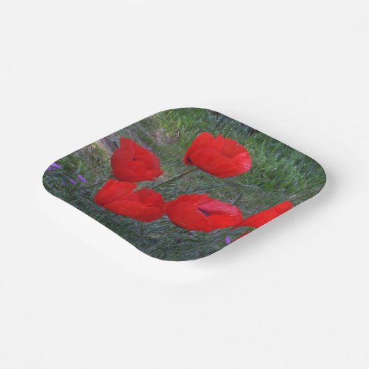 Bright Red Poppies Pappteller (Gewinkelt)