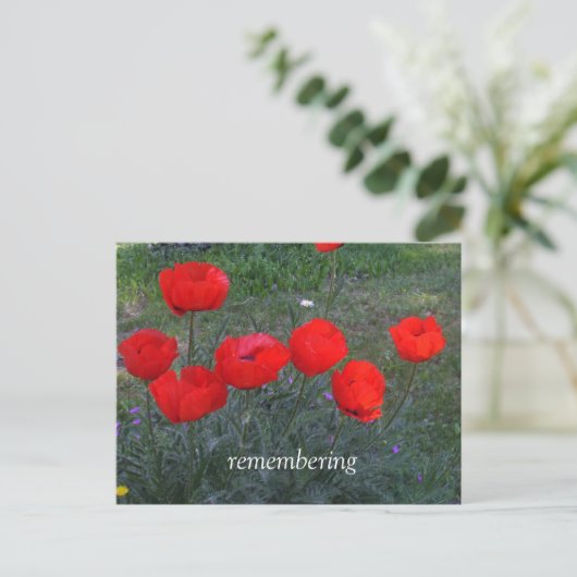 Bright Red Poppies Postkarte (Stehend Vorderseite)