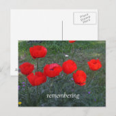 Bright Red Poppies Postkarte (Vorne/Hinten)