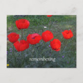 Bright Red Poppies Postkarte (Vorderseite)
