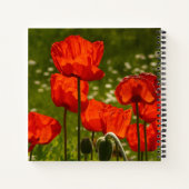 Bright Red Poppy Field Notizblock (Rückseite)