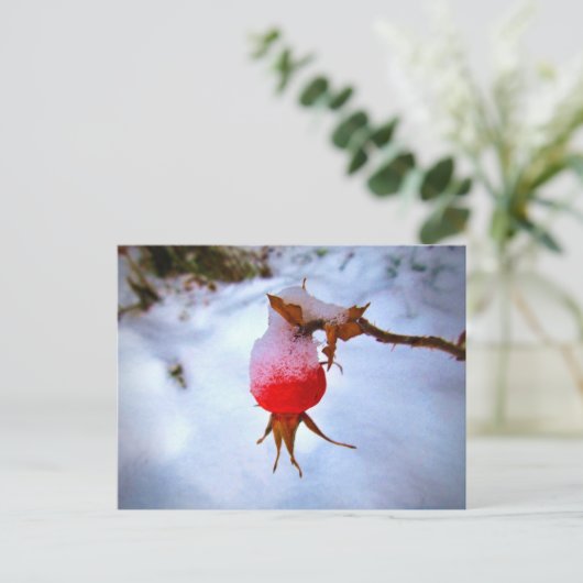Bright Red Rosehip in Winter Snow Postkarte (Stehend Vorderseite)