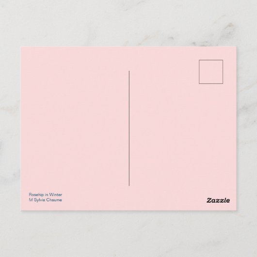 Bright Red Rosehip in Winter Snow Postkarte (Rückseite)