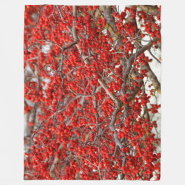 Bright Red Winterberries Holly Trees Berries Fleecedecke