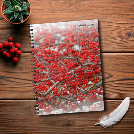 Bright Red Winterberries Holly Trees Berries Notizblock