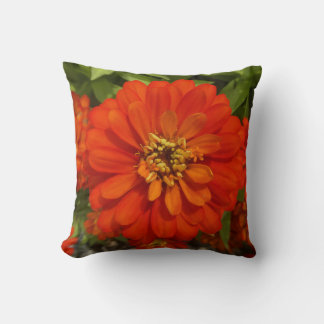 Bright Red Zinnia Trend  Kissen