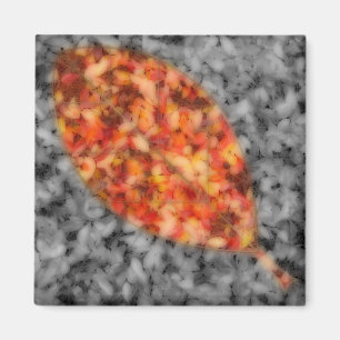 Bright Shadows Magnet