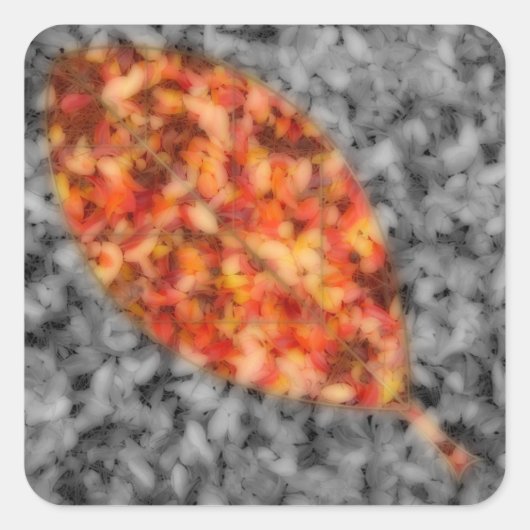 Bright Shadows Stickers (Vorderseite)