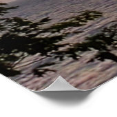 Bright Sky Sunset Poster (Ecke)