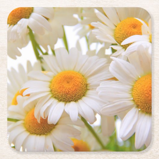 Bright Summer Daisies Flowers Rechteckiger Pappuntersetzer (Vorderseite)