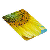 Bright Sunflower Magnet (Rechte Seite)