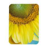 Bright Sunflower Magnet (Vertikal)