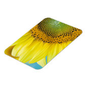 Bright Sunflower Magnet (Linke Seite)