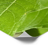 Bright Sunflower Poster (Ecke)