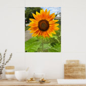 Bright Sunflower Poster (Küche)