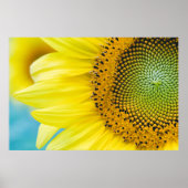 Bright Sunflower Poster (Vorne)