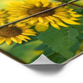 Bright Sunshiny Day Poster (Ecke)