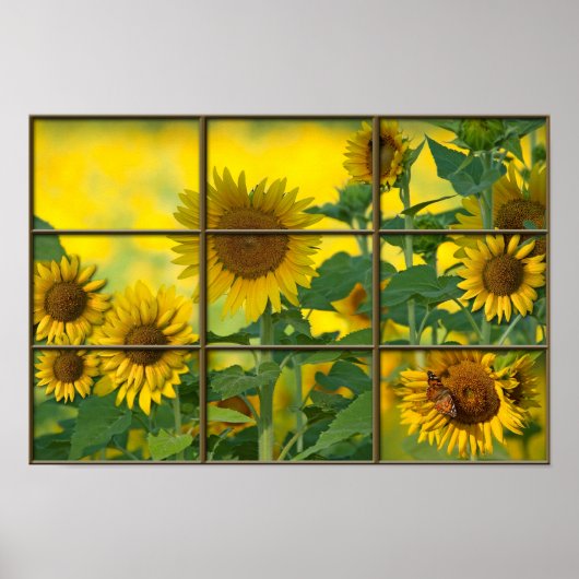 Bright Sunshiny Day Poster (Vorne)