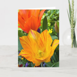 Bright Tulips Blank Note Card Dankeskarte