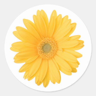 Bright Yellow Gerbera Daisy Blume Runder Aufkleber