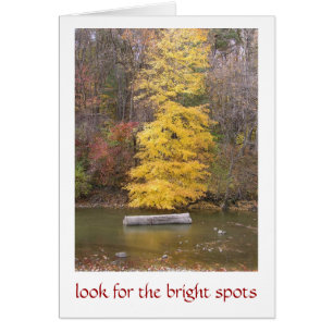 "BRIGHT YELLOW TREE ALONG RIVER BANK"