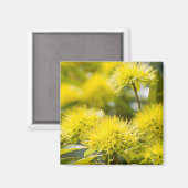 Bright Yellow Wattle Tree Magnet (Vorderseite/Rückseite)