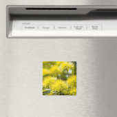 Bright Yellow Wattle Tree Magnet (In Situ (Geschirrspüler))