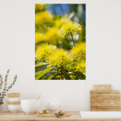 Bright Yellow Wattle Tree Poster (Küche)