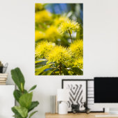 Bright Yellow Wattle Tree Poster (Heimbüro)