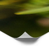 Bright Yellows Poster (Ecke)