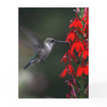 Brighten someone's day with this lovely card!!