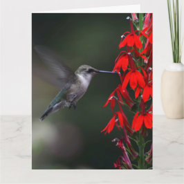 Brighten someone's day with this lovely card!! karte