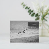 Brighton Postkarte (Stehend Vorderseite)