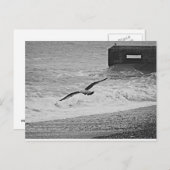 Brighton Postkarte (Vorne/Hinten)