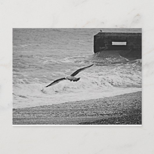 Brighton Postkarte (Vorderseite)