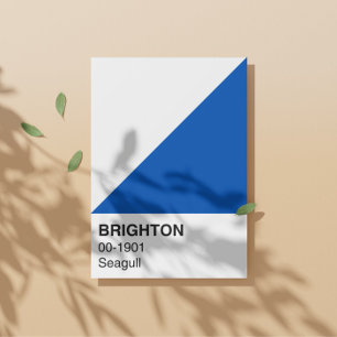 Brighton Seagull Blau und Weiß - Vollbreite Poster