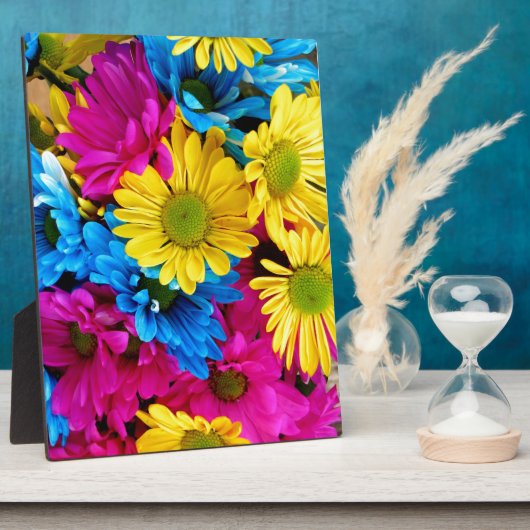 Brihell Colored Daisies Fotoplatte (Seite)