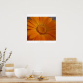 brillant! poster (Küche)