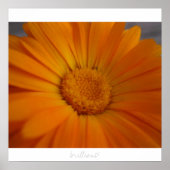 brillant! poster (Vorne)