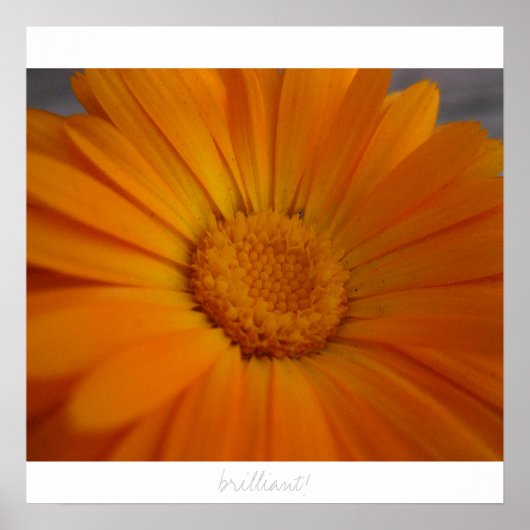 brillant! poster (Vorne)