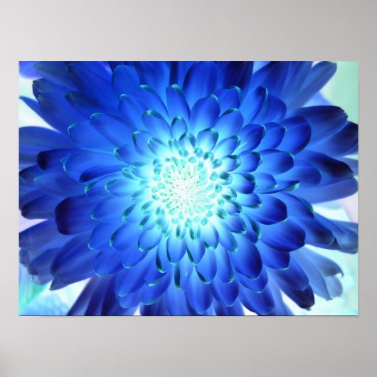 Brillante blaue Blume Makro. Gelbnegativ Poster (Vorne)