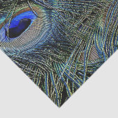 Brillante Colors Peacock Feathers Blue Gold Seidenpapier (Detail)