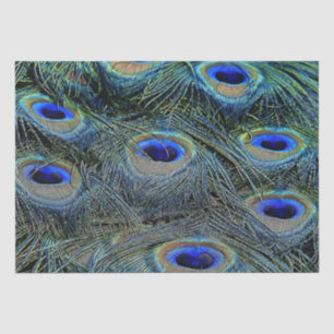Brillante Colors Peacock Feathers Blue Gold Seidenpapier