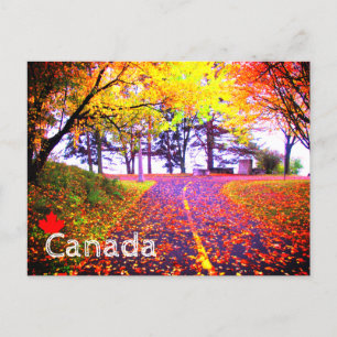 Brillante Farben Herbst-Radweg Kanada Souvenir Postkarte