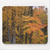 Brillante farbige Sturmbäume und Blätter Mousepad (Vorne)