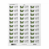 Brillante grüne Schmetterlingsadresse (Vorne)