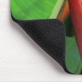 Brillante Heliconia Tropical Blume Mousepad (Ecke)