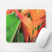 Brillante Heliconia Tropical Blume Mousepad (Mit Mouse)
